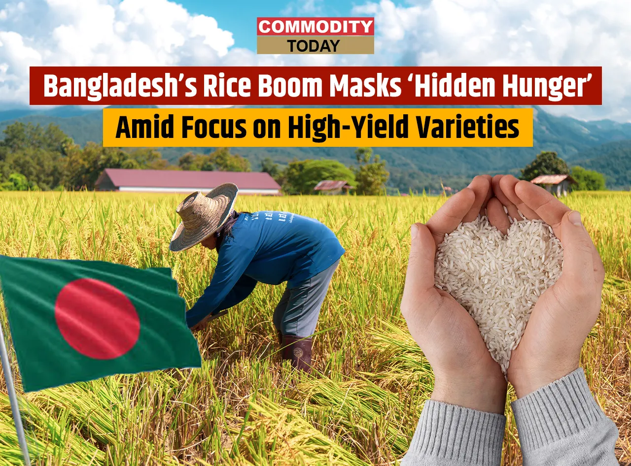 Bangladesh’s Rice Boom Masks ‘Hidden Hunger’ Amid Focus on High-Yield Varieties