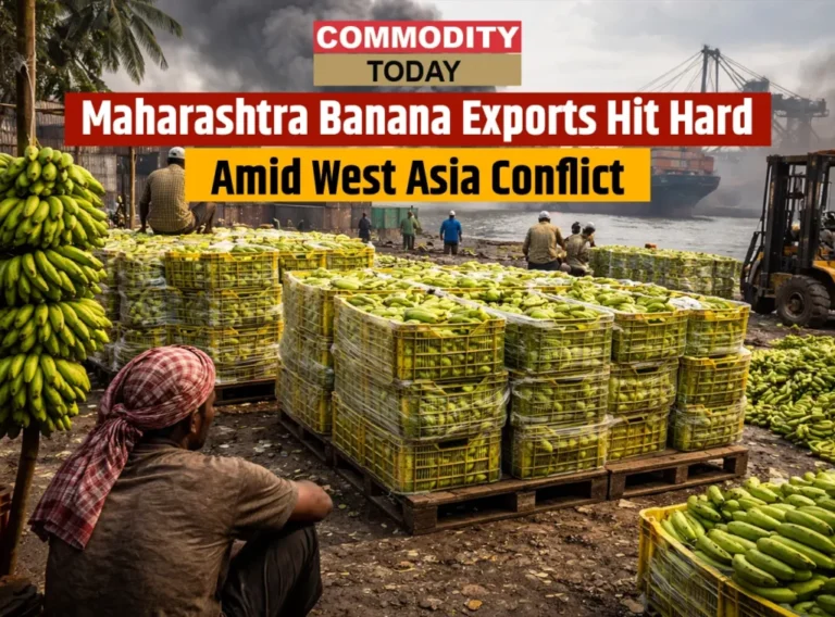 Maharashtra Banana Exports Hit Hard Amid West Asia Conflict