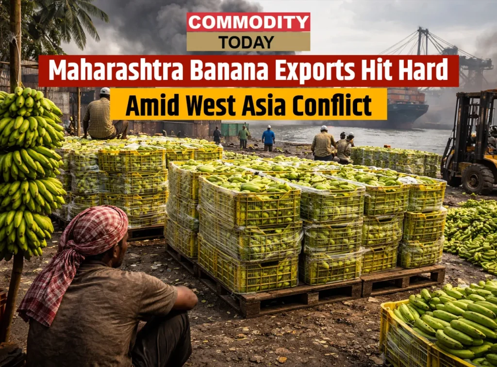 Maharashtra Banana Exports Hit Hard Amid West Asia Conflict