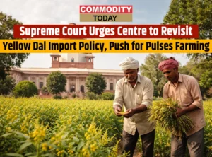 Supreme Court Urges Centre to Revisit Yellow Dal Import Policy, Push for Pulses Farming