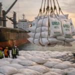 India Urea Import Prices Spike Amid Global Supply Tightness