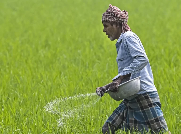 India’s Fertiliser Prices Government Likely to Keep Rates Unchanged