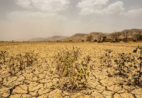 Weak Monsoon Forecast 2026 Pulses, Soybean and Cotton at High Risk in India