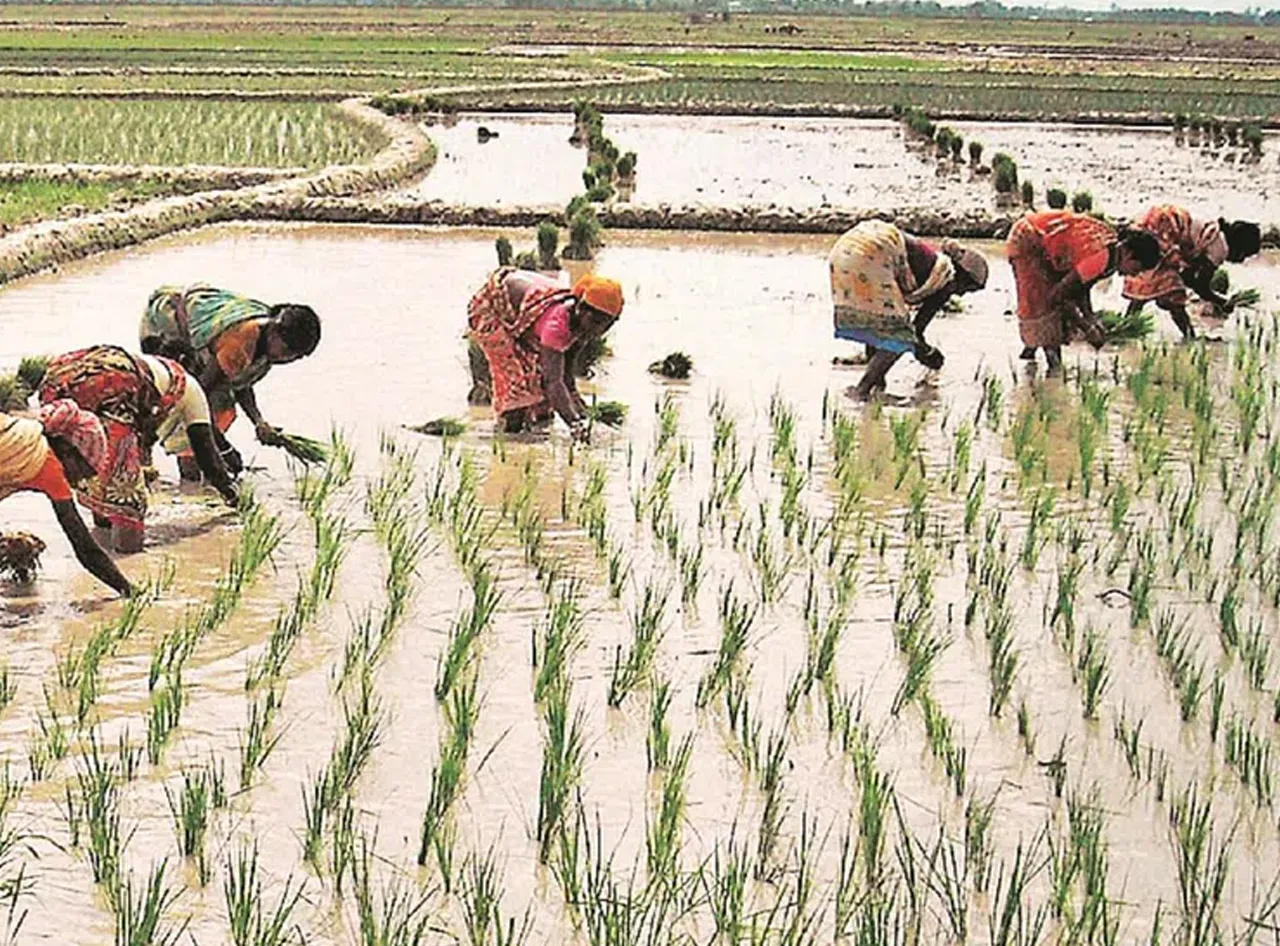Women Empowerment Rajasthan Panchayat Training to Strengthen Rural Women in Agriculture