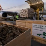 Assam Boosts Agarwood Exports with First Official Gulf Shipment