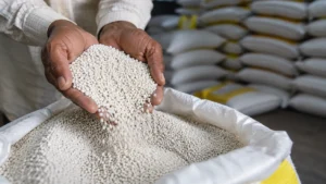 DAP Fertiliser Prices Surge as India Faces Higher Import Costs Amid Global Supply Crunch