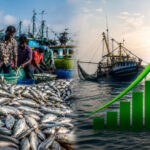 Fish Production in India Rises 3% in 2025, Tamil Nadu Overtakes Gujarat