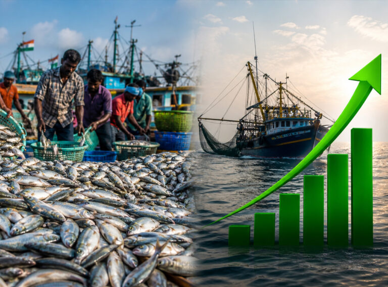 Fish Production in India Rises 3% in 2025, Tamil Nadu Overtakes Gujarat
