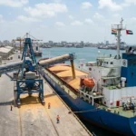 India Wheat Exports Restart After 4 Years, First Shipment To UAE
