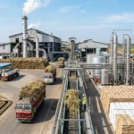 India’s Sugar Production Jumps 7.32% as Ethanol Blending Gains Momentum