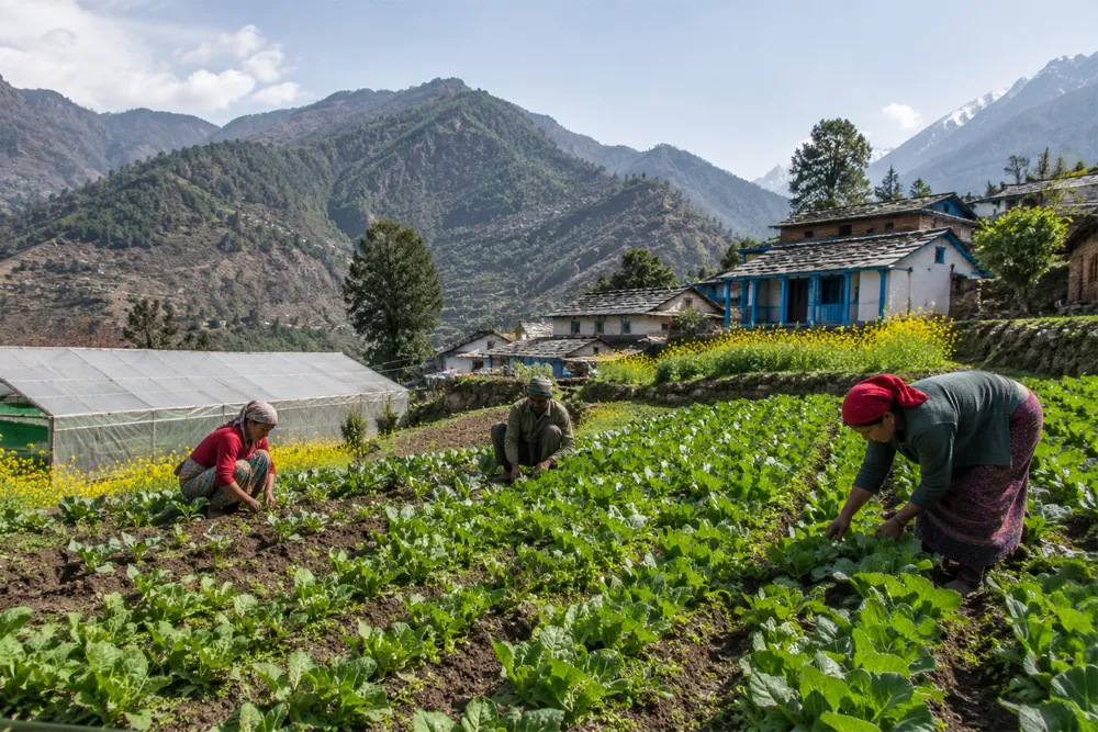 Model Agriculture Villages in Uttarakhand to Boost Rural Economy and Stop Migration