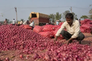 Onion Export Ban Not Imposed Amid The Onion Prices Crash In Maharashtra