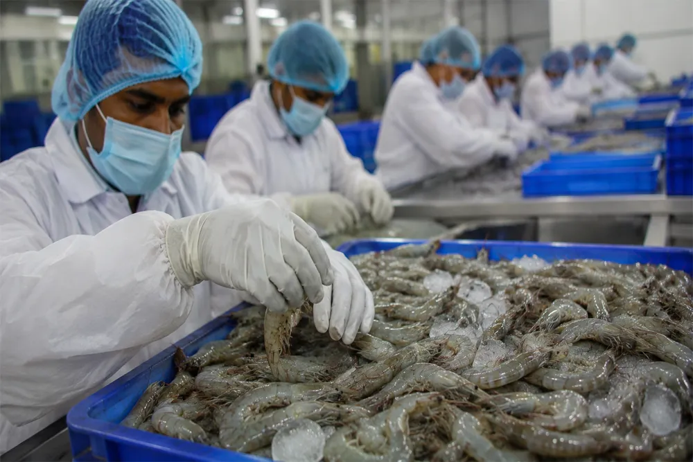 Seafood Exports Get Major Boost as EU Clears Indian Aquaculture Imports Beyond 2026