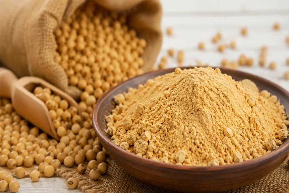 Soymeal Exports from India Set to Hit 4-Year Low Amid Price Surge