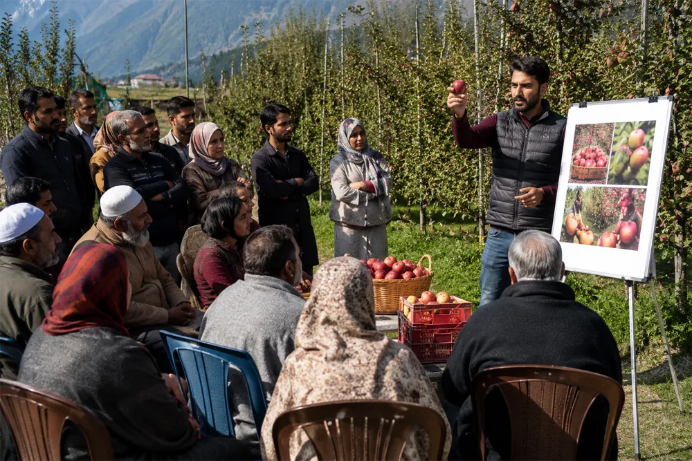 Will APEDA’s Training Initiative for Kashmir Fruit Growers Create Effect