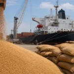Bangladesh Issues Tenders on Wheat Imports Hitting Indian Exporters—Here’s Why?