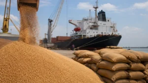 Bangladesh Issues Tenders on Wheat Imports Hitting Indian Exporters—Here’s Why?