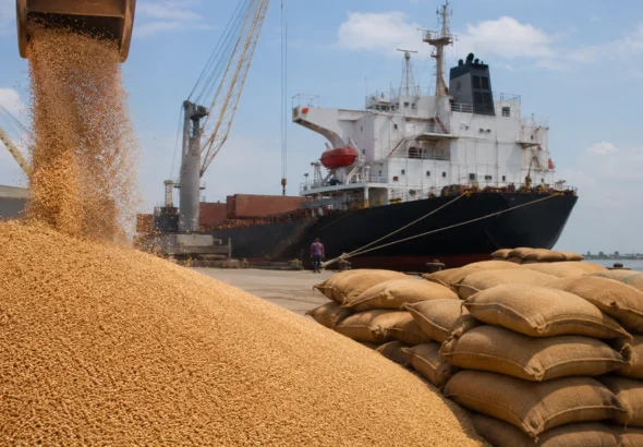 Bangladesh Issues Tenders on Wheat Imports Hitting Indian Exporters—Here’s Why?