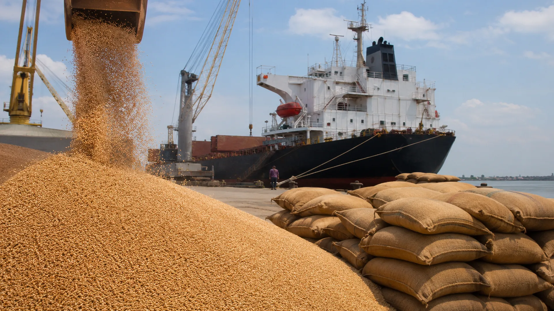 Bangladesh Issues Tenders on Wheat Imports Hitting Indian Exporters—Here’s Why?