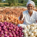 Govt Offers Support By Rising Onion Procurement Prices