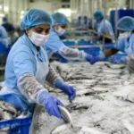 How Does Seafood Exports from Odisha Rise 12% in Marine Trade Boost
