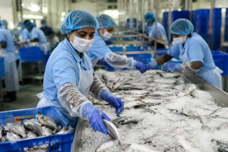 How Does Seafood Exports from Odisha Rise 12% in Marine Trade Boost