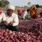 Indian Onion Farmers Urge ₹10,000 Crore Package as Onion Prices Remain Volatile