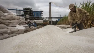 Sugar Exports Likely to Remain Limited as India Prioritizes Domestic Supply