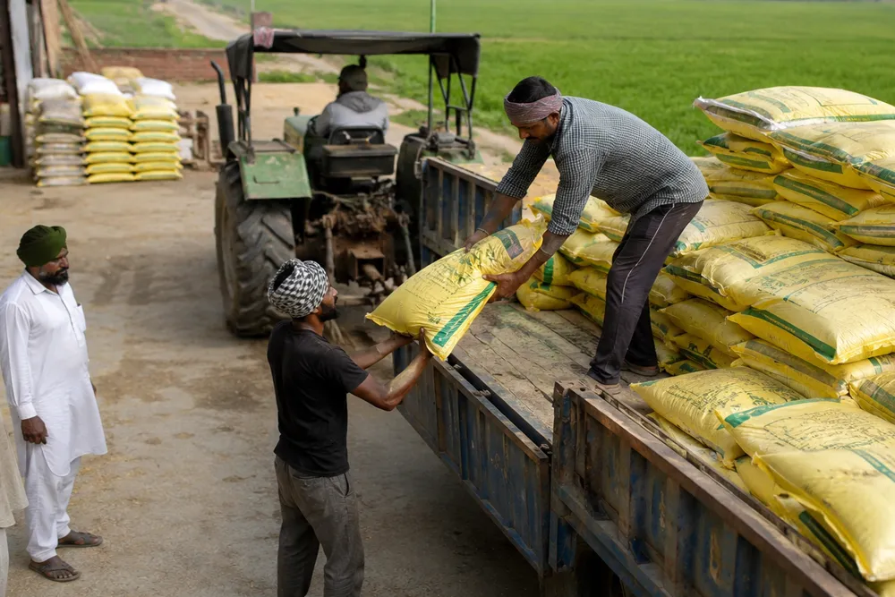 Urea Supply Stable in Punjab Amid Farmers’ Demand Concerns