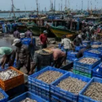 Why is AP Targeting 30% Share in India’s $30 Billion Seafood Exports Vision