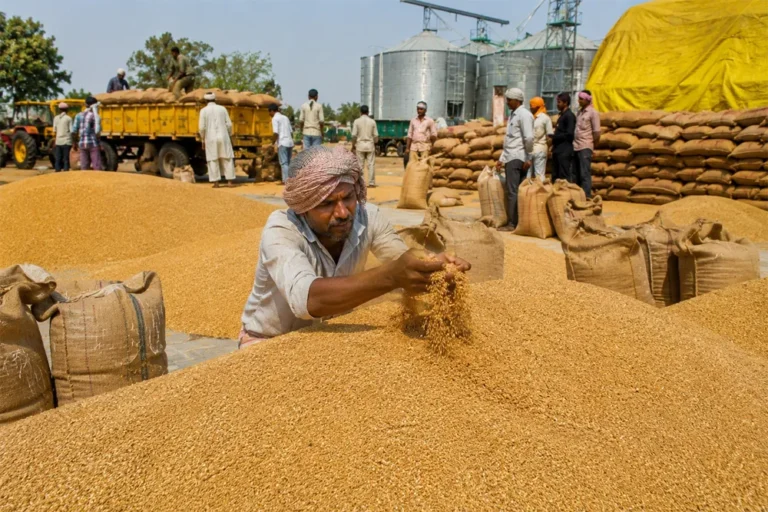 India’s Wheat Procurement Crossed Revised Buffer Stock Target