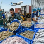 How India Achieved Record Seafood Exports Worth ₹73,890 Crore ?