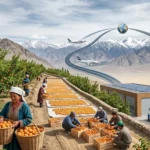 Apricot Exports: How Ladakh’s First Shipment to Dubai Opens Global Opportunities?