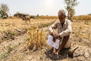 El Nino Impact May Challenge Agricultural Loans, But Credit Growth Stable