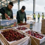 Kashmir’s First Fresh Fruit Export to Singapore A New Milestone