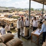 Moong Procurement Rises To 60% In Madhya Pradesh As Farmers End Protest