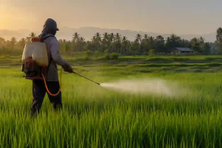 Thai Agriculture Witnesses Sustainability Challenge Amid Rising Pesticide Use