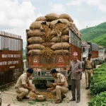 Why Did India Halt Nepal Tea Exports Explained
