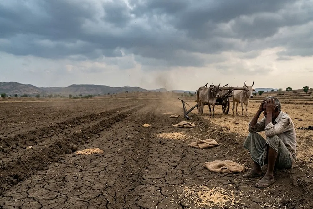 Weak Monsoon Delays Kharif Sowing: Kharif Sowing Area Falls as Rice, Cotton and Soybean Acreage Decline