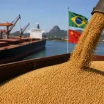 Brazil’s Soybean Exports to China Eye Record Levels