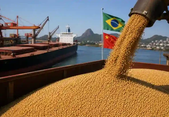 Brazil’s Soybean Exports to China Eye Record Levels
