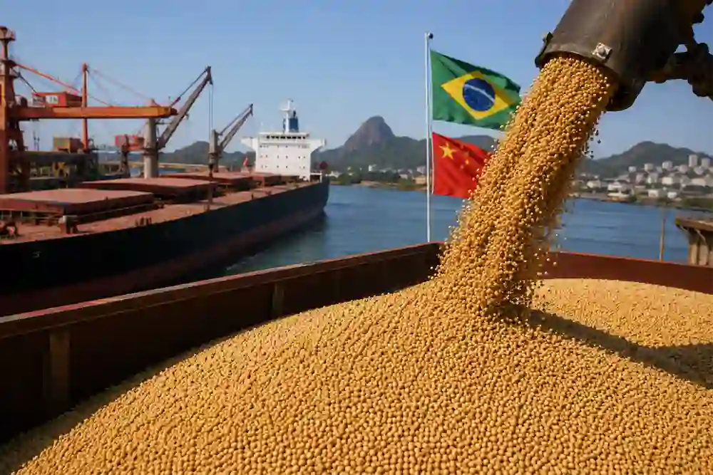 Brazil’s Soybean Exports to China Eye Record Levels