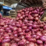 Onion Prices Rise: Why Is the Centre Selling Onions at ₹35/kg?