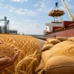 Wheat Export Ban Lifted: Will Indian Wheat Reach Global Markets?