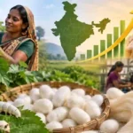 Can India Boost Silk Production To 60,000 Tonnes By 2030-31?