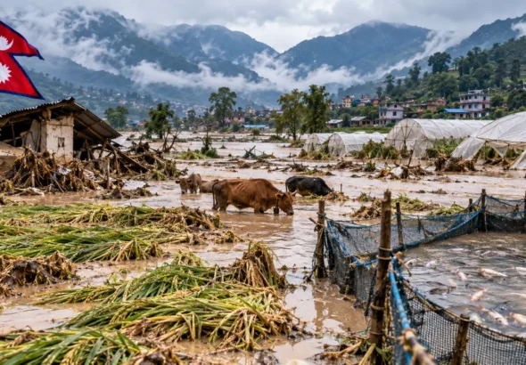 Nepal Floods Cause Rs. 3.26 Billion Damage to Agriculture, Livestock and Fisheries