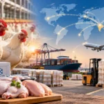 Poultry Exports Hit by High Freight Costs as India Seeks Global Growth