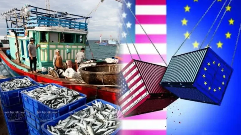 Seafood Exports Surge 14.3% to $3.65 Billion in April-August