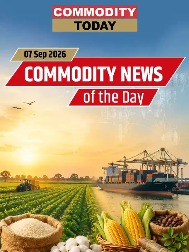Top Commodity News: Oil, Power, Spices & Agriculture