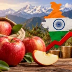 Apple Prices in India Rise 35%: What’s Driving this Surge?